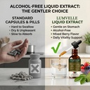 lumvelle-wild-harvested-wormwood-drops-7-6.jpg