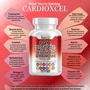 coq10-250mg-red-yeast-rice-omega-3-pqq-n-4.jpg