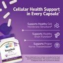 21st-century-inositol-500mg-myo-inositol-3.jpg
