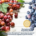 focus-premium-cognitive-enhancement-supp-4.jpg