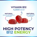 b12-energy-gummies-4500-mcg-vitamin-b12--3.jpg
