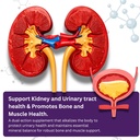 potassium-citrate-supplement-99mg-bone-m-4.jpg