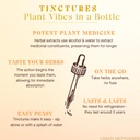 urban-moonshine-healthy-liver-bitters-li-5.jpg