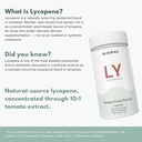 500mg-lycopene-supplement-tomato-extract-4.jpg