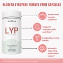 lycopene-supplement-capsules-500mg-tomat-5.jpg