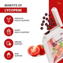 ved-lycopene-supplement-100mg-90-tablets-4.jpg