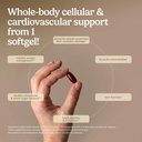 terry-naturally-clinical-opc-extra-stren-4.jpg