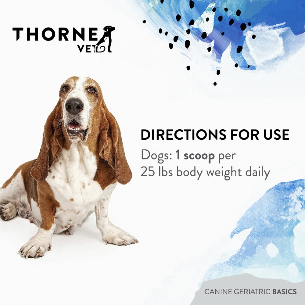 canine-geriatric-basics-senior-dog-multi-6.jpg