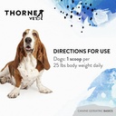 canine-geriatric-basics-senior-dog-multi-6.jpg
