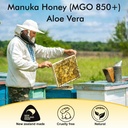 manuka-honey-for-wounds-great-for-cuts-s-6.jpg