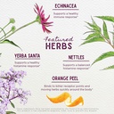 wishgarden-herbs-kick-ass-allergy-sinus--4.jpg