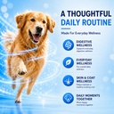 kelpie-allergy-chews-daily-skin-and-coat-5.jpg