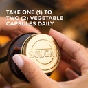 solgar-l-lysine-500-mg-vegetable-capsule-3.jpg