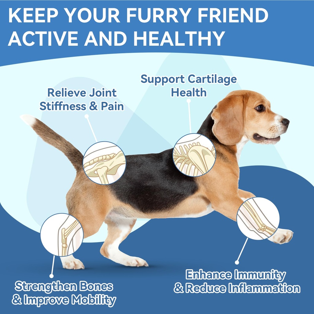 dog-vitamins-joint-supplement-for-dogs-5.jpg