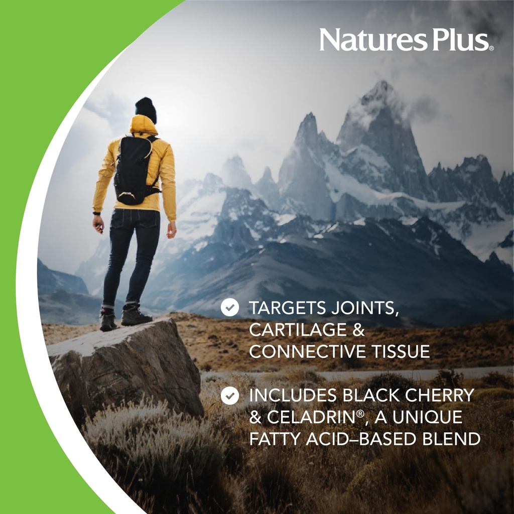 naturesplus-ultra-rx-joint-triple-streng-3.jpg
