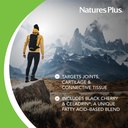 naturesplus-ultra-rx-joint-triple-streng-3.jpg