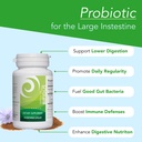 new-earth-bifidus-probiotic-for-large-in-2.jpg