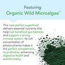 new-earth-bifidus-probiotic-for-large-in-3.jpg
