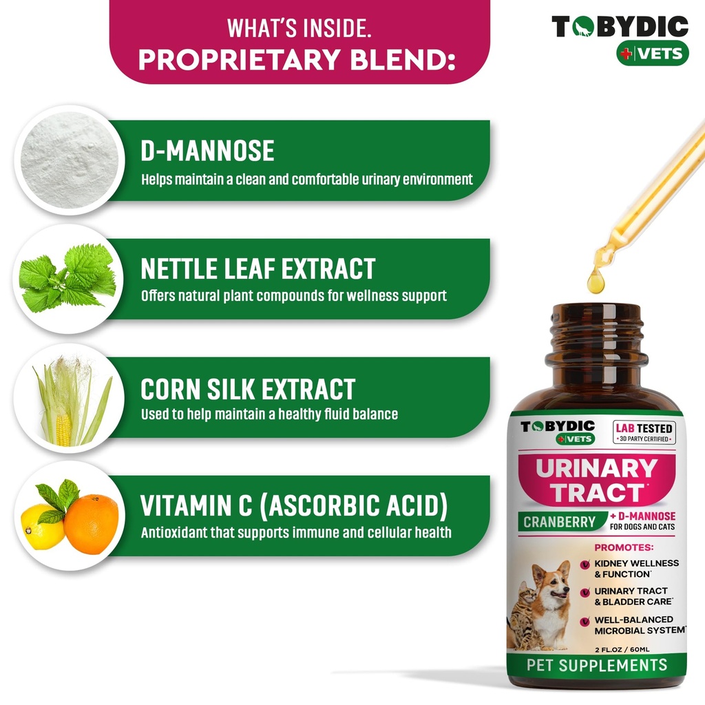 cat-dog-uti-treatment-urinary-tract-infe-3.jpg
