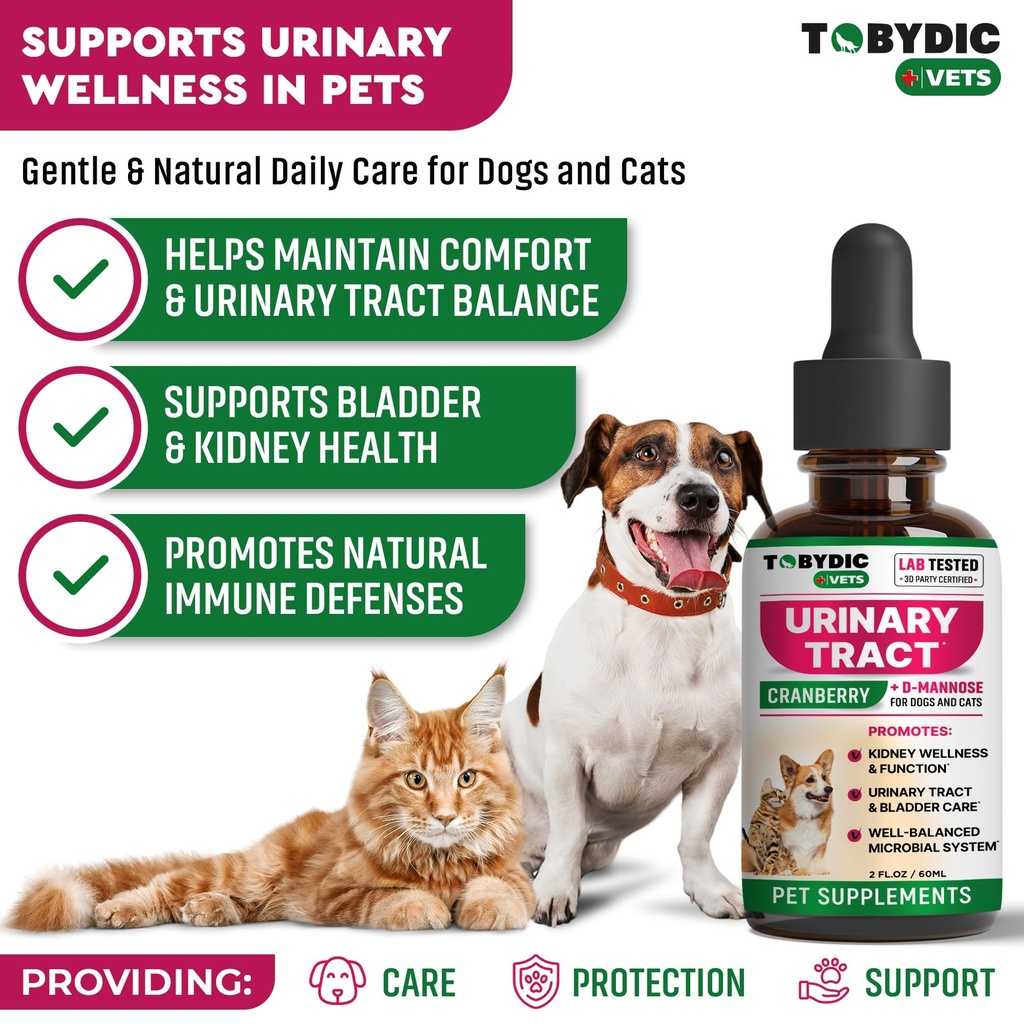 cat-dog-uti-treatment-urinary-tract-infe-2.jpg