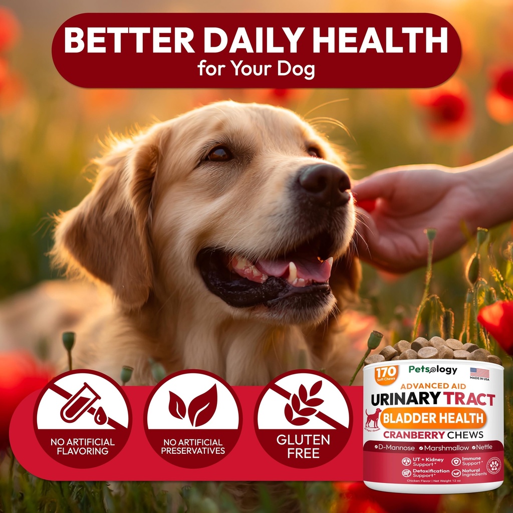 dog-uti-treatment-170-cranberry-chews-fo-6.jpg