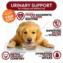 dog-uti-treatment-170-cranberry-chews-fo-4.jpg