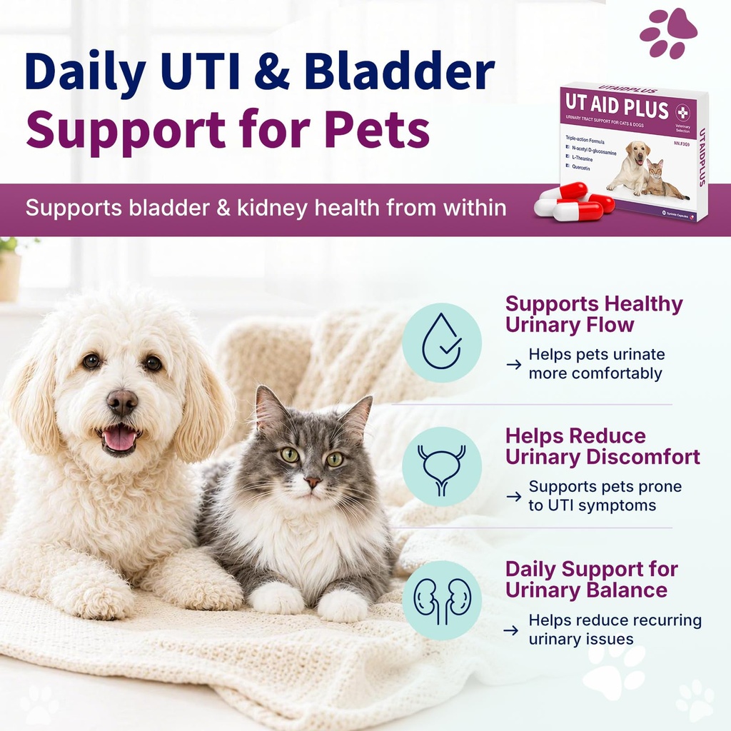 natural-uti-treatment-for-cats-dogs-anti-4.jpg