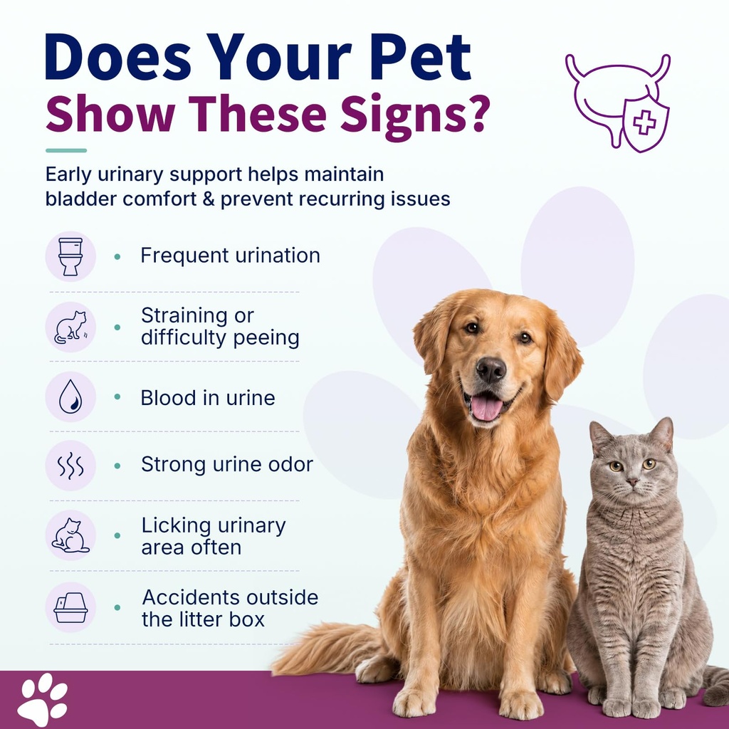 natural-uti-treatment-for-cats-dogs-anti-2.jpg
