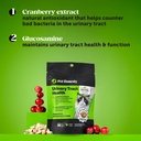 cat-urinary-tract-health-crunchy-creamy--3.jpg