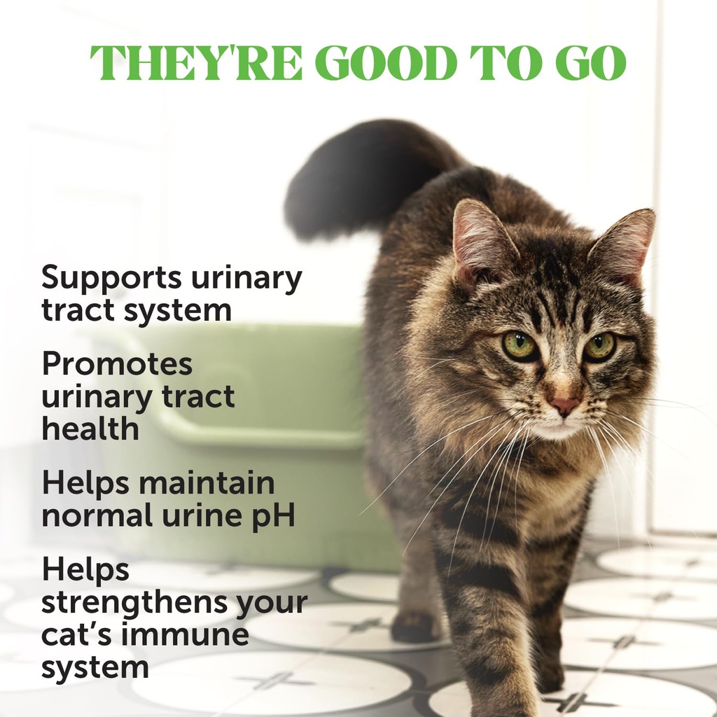 cat-urinary-tract-health-crunchy-creamy--2.jpg