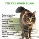 cat-urinary-tract-health-crunchy-creamy--2.jpg