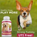 amazing-cranberry-supplement-for-dogs-ur-4.jpg