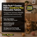 cat-dog-uti-treatment-cranberry-suppleme-4.jpg