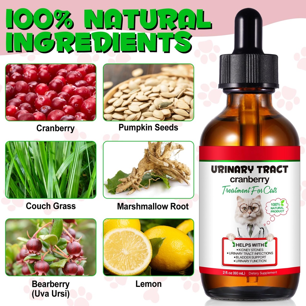 urinary-tract-for-cats-natural-cat-urina-5.jpg