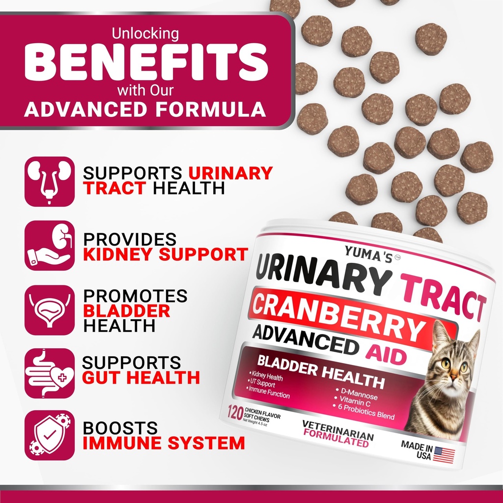 cat-urinary-tract-health-cranberry-suppl-2.jpg