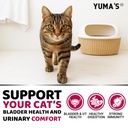 cat-urinary-tract-health-cranberry-suppl-4.jpg