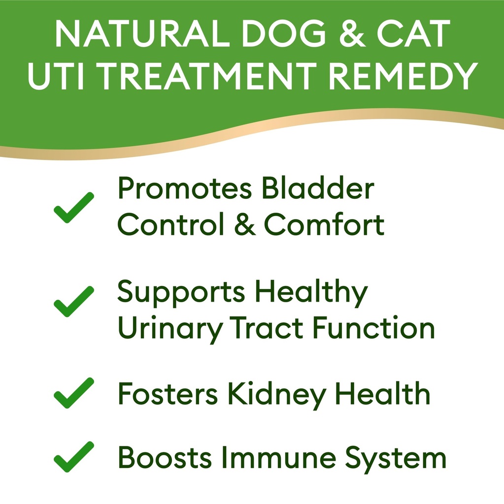dog-uti-treatment-cat-urinary-tract-infe-2.jpg