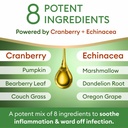 dog-uti-treatment-cat-urinary-tract-infe-3.jpg