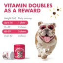 cranberry-uti-chews-for-dogs-bladder-sup-4.jpg