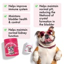 cranberry-uti-chews-for-dogs-bladder-sup-2.jpg