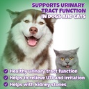 natural-dog-cat-uti-treatment-with-cranb-2.jpg