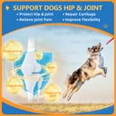zebora-dog-vitamins-powder-multivitamin--4.jpg