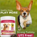 amazing-cranberry-for-dogs-pet-antioxida-4.jpg