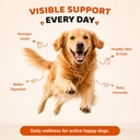 120-dog-multivitamin-8-in-1-dog-allergy--4.jpg