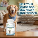 cognitive-support-for-dogs-promotes-dog--2.jpg
