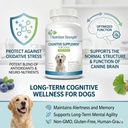 cognitive-support-for-dogs-promotes-dog--3.jpg