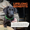 optipup-all-in-1-puppy-multivitamin-by-a-5.jpg
