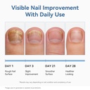 vrenmol-fungal-nail-patches-extra-streng-5.jpg