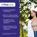 fineland-wild-blueberry-extract-rich-in--2.jpg
