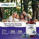 fineland-wild-blueberry-extract-rich-in--3.jpg